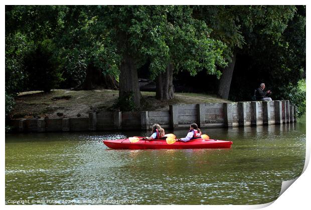 Dunorlan Park – England, UK. Print by Ray Putley