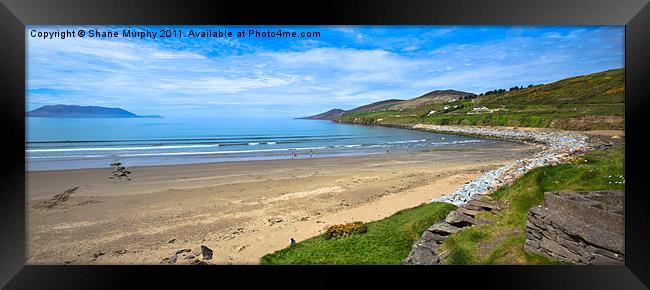 An Inch of Dingle Bay Framed Print by Shane Murphy
