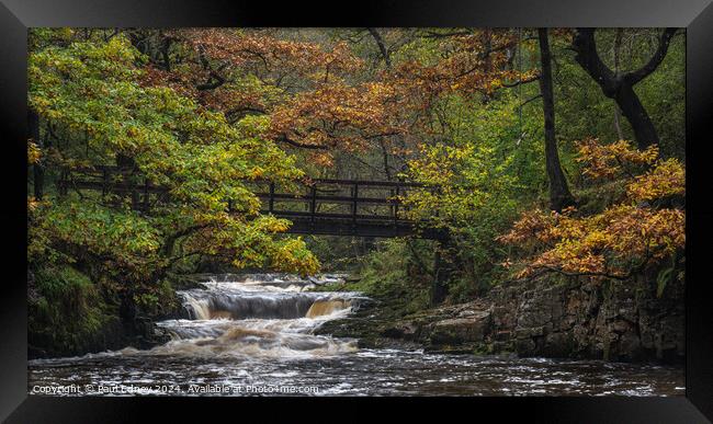 Cascades on the Afon Pyrddin, Vale of Neath, South Wales, UK Framed Print by Paul Edney