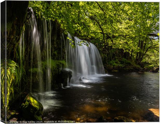 Upper Gushing Falls, Vale of Neath, South Wales, UK Canvas Print by Paul Edney