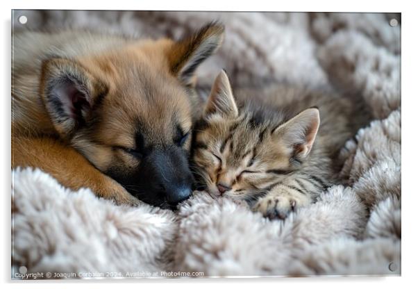 Adorable pets, puppy and kitten, sleep in good com Acrylic by Joaquin Corbalan
