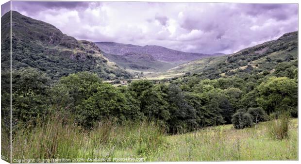 Snowdonia a majestic landscape Canvas Print by jim Hamilton