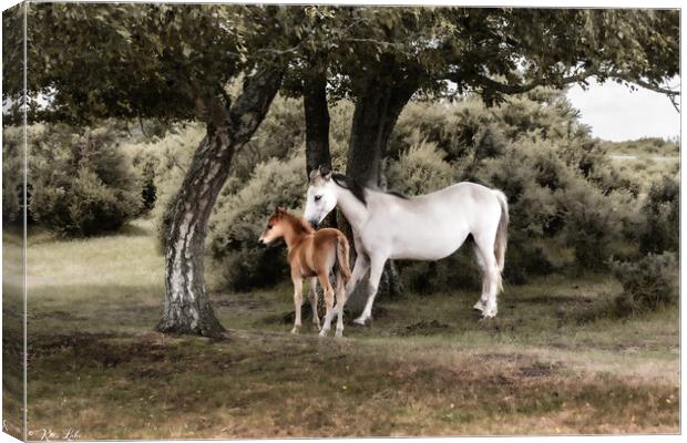 New Forest Mare and Foal Canvas Print by Kate Lake