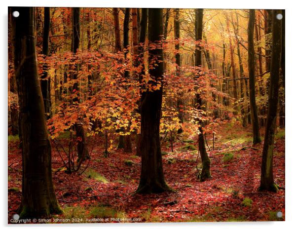 Autumnal Woodland  Acrylic by Simon Johnson