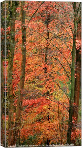 Autumn leaves Canvas Print by Simon Johnson