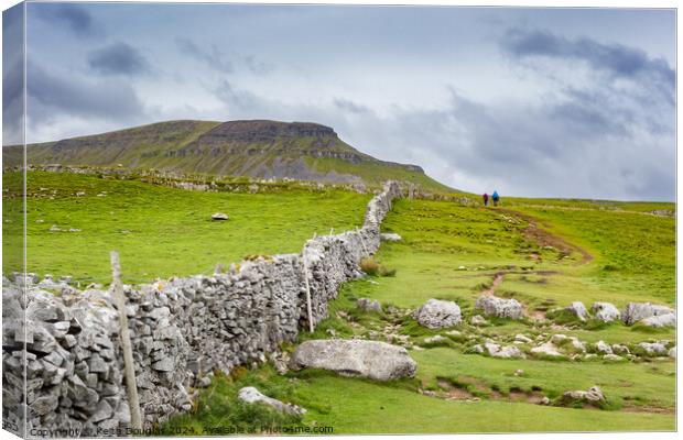 The path to Penyghent Canvas Print by Keith Douglas