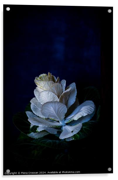 Plant flower Acrylic by Fiona Crossan