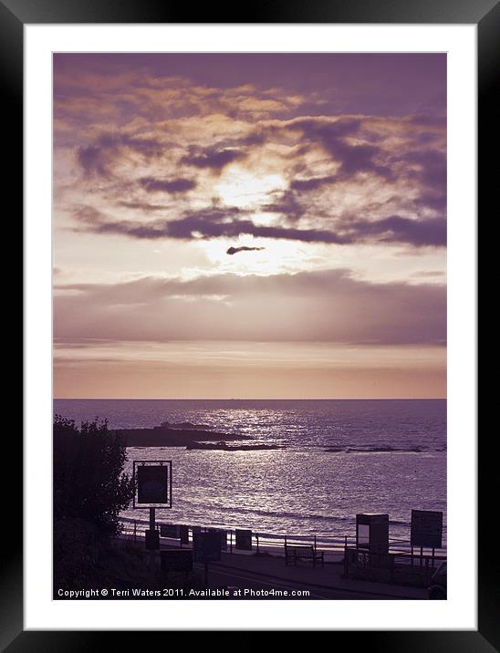 Lilac & Pink Sunset Framed Mounted Print by Terri Waters