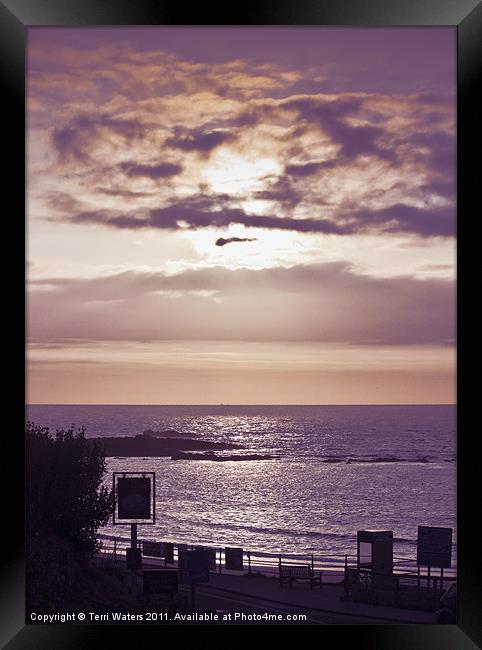 Lilac & Pink Sunset Framed Print by Terri Waters