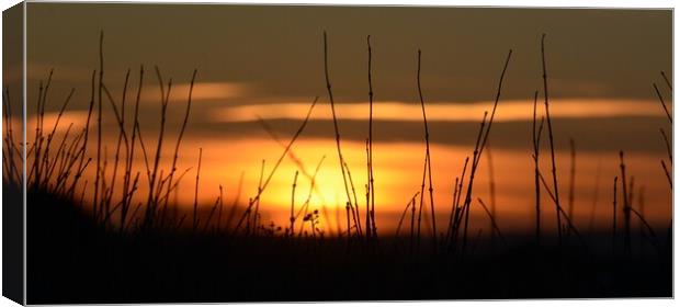 Sun set over lincolnshire  Canvas Print by Jon Fixter