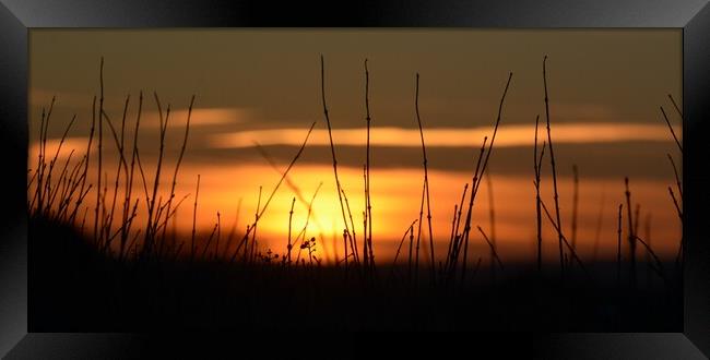 Sun set over lincolnshire  Framed Print by Jon Fixter