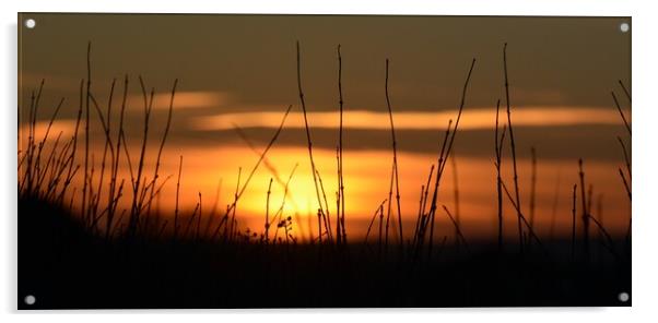 Sun set over lincolnshire  Acrylic by Jon Fixter
