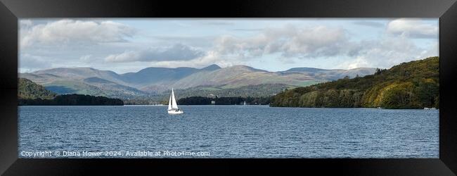  Windermere and the Fairfield Horseshoe Panoramic Framed Print by Diana Mower