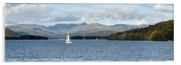  Windermere and the Fairfield Horseshoe Panoramic Acrylic by Diana Mower