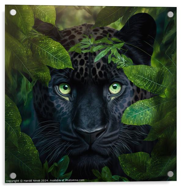 Black Panther Acrylic by Harold Ninek