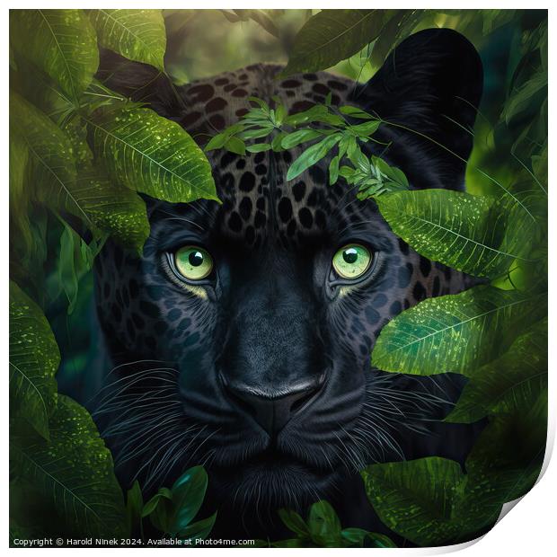 Black Panther Print by Harold Ninek