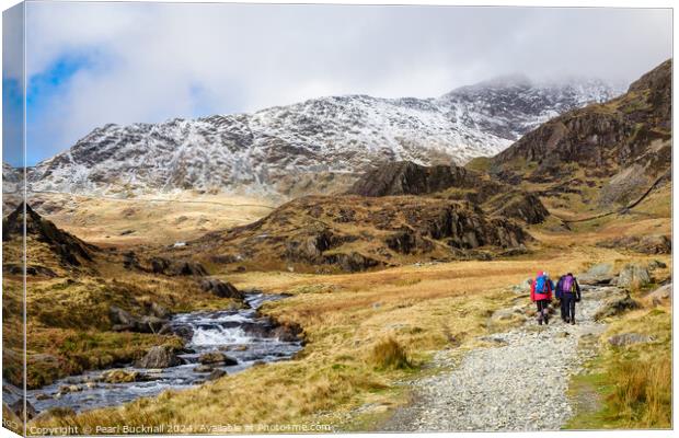 Heading for the Hills in Snowdonia Canvas Print by Pearl Bucknall