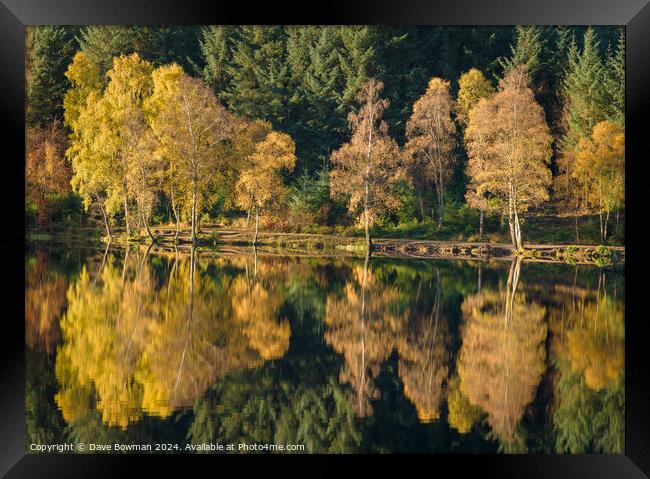 Autumn on Glencoe Lochan Framed Print by Dave Bowman