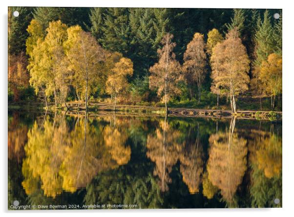 Autumn on Glencoe Lochan Acrylic by Dave Bowman