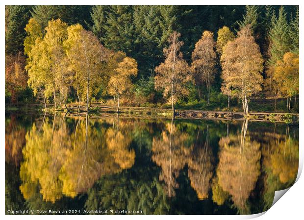 Autumn on Glencoe Lochan Print by Dave Bowman