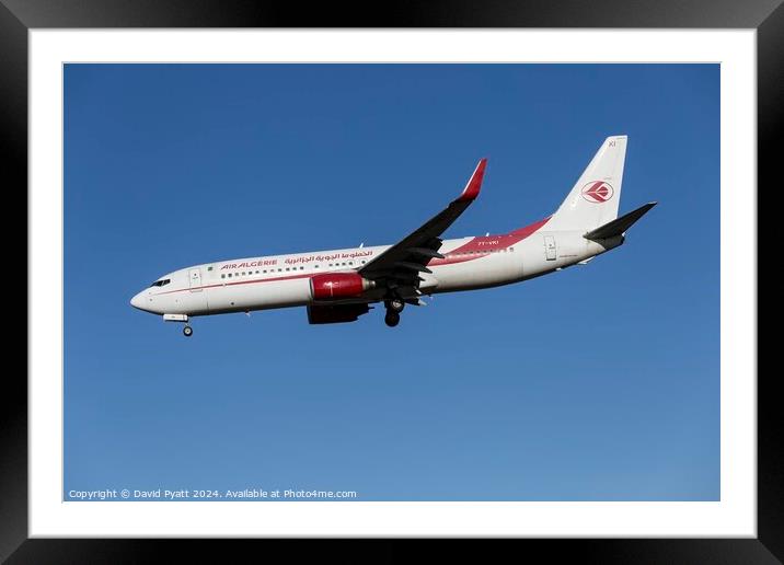 Air Algerie Boeing 737-8 Framed Mounted Print by David Pyatt