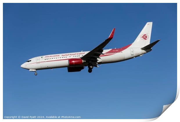 Air Algerie Boeing 737-8 Print by David Pyatt