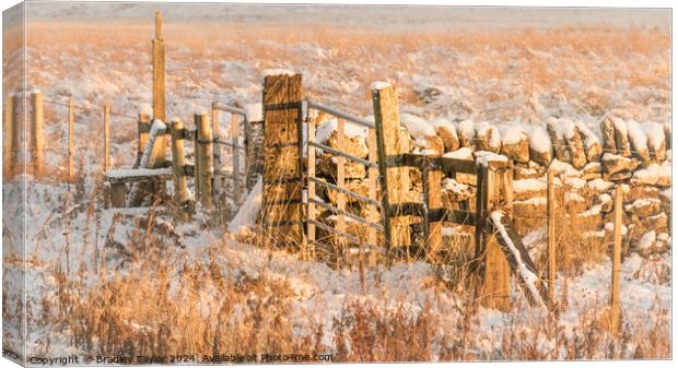 Gate, Stile & Dry Stone Wall, Yorkshire Dales Canvas Print by Bradley Taylor