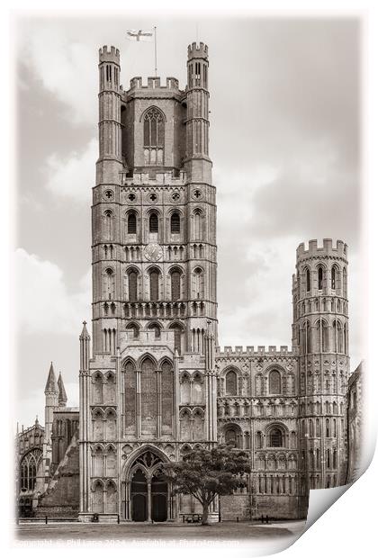 Ely Cathedral, Cambridgeshire, England, UK Print by Phil Lane