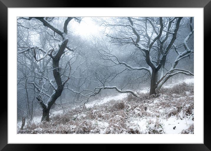 Snowy woodland scene 1045 Framed Mounted Print by PHILIP CHALK