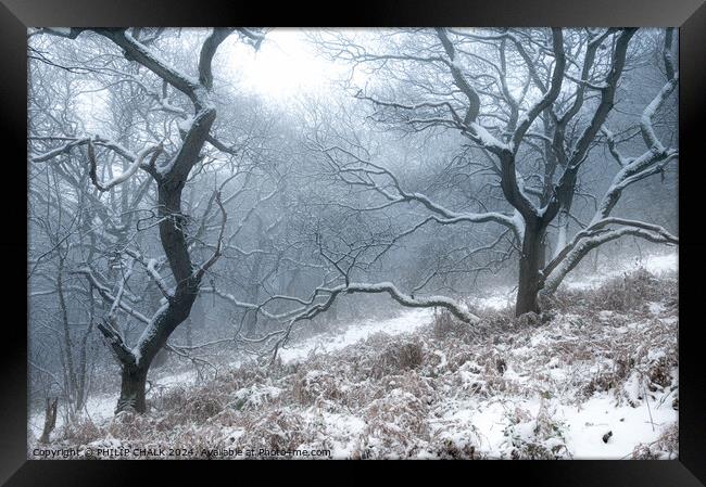 Snowy woodland scene 1045 Framed Print by PHILIP CHALK