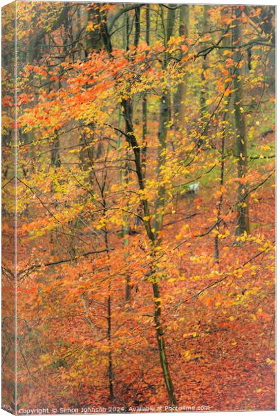 autumnal Woodland  Canvas Print by Simon Johnson