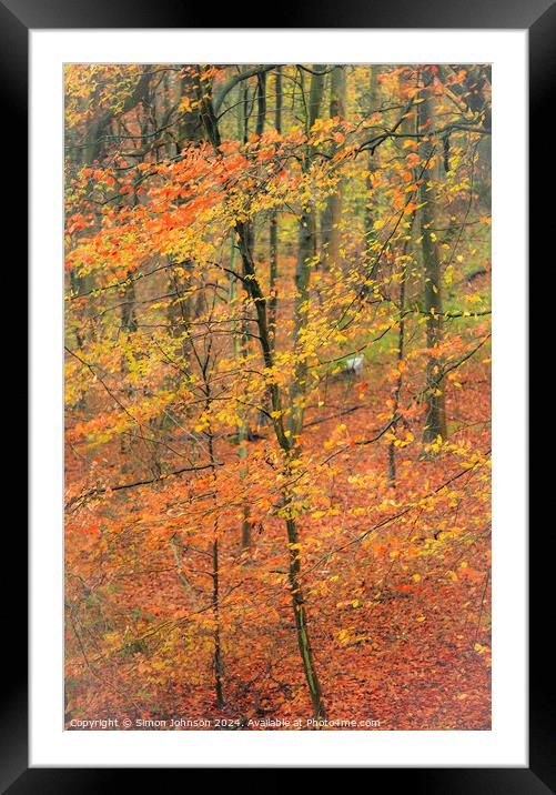 autumnal Woodland  Framed Mounted Print by Simon Johnson