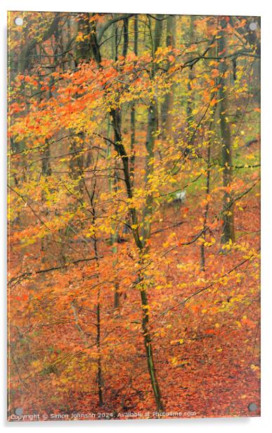 autumnal Woodland  Acrylic by Simon Johnson