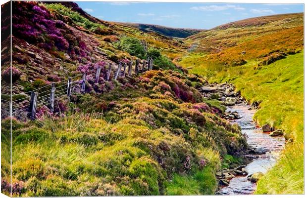 English Heather Moorland Countryside Canvas Print by Martyn Arnold
