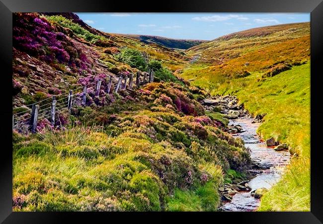 English Heather Moorland Countryside Framed Print by Martyn Arnold