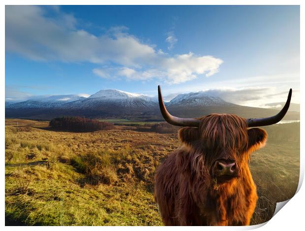 Highland Cow at Loch Tulla  Print by Alison Chambers