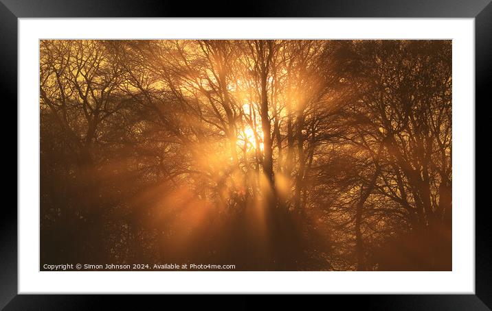 Sun shining through the trees Framed Mounted Print by Simon Johnson