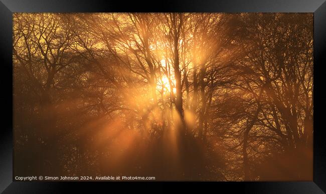 Sun shining through the trees Framed Print by Simon Johnson