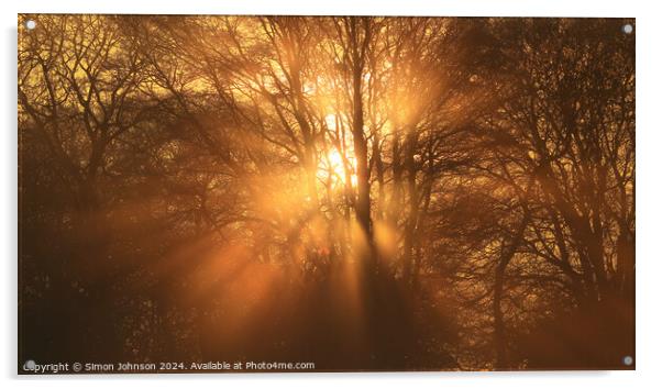 Sun shining through the trees Acrylic by Simon Johnson