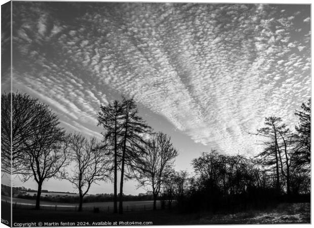 Black and white sunset Canvas Print by Martin fenton