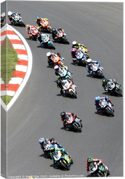 R&G British Talent Cup - Brands Hatch 2023 Canvas Print by Ray Putley