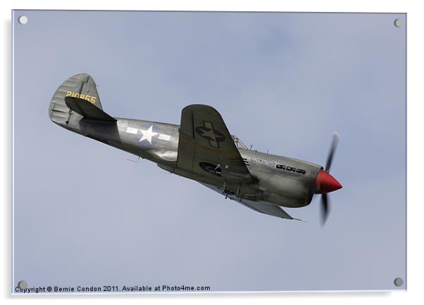 P40 Tomahawk Acrylic by Bernie Condon