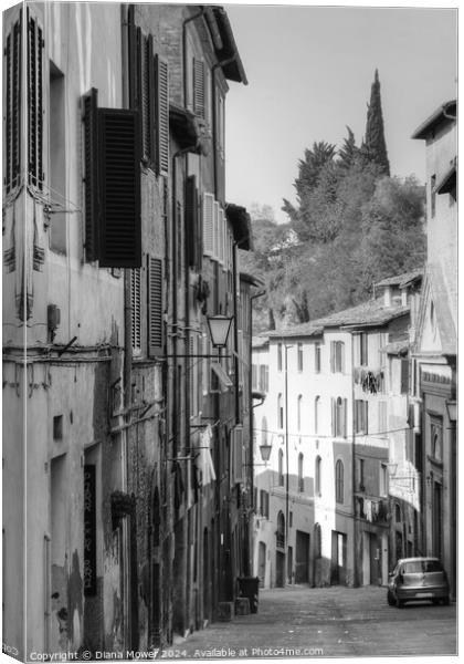 Siena Street Italy Tuscany in monochrome Canvas Print by Diana Mower
