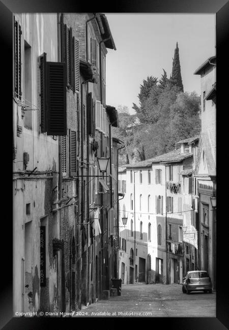 Siena Street Italy Tuscany in monochrome Framed Print by Diana Mower