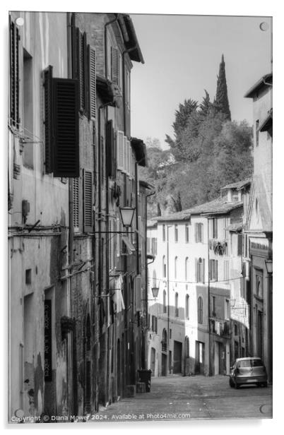 Siena Street Italy Tuscany in monochrome Acrylic by Diana Mower