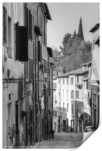 Siena Street Italy Tuscany in monochrome Print by Diana Mower