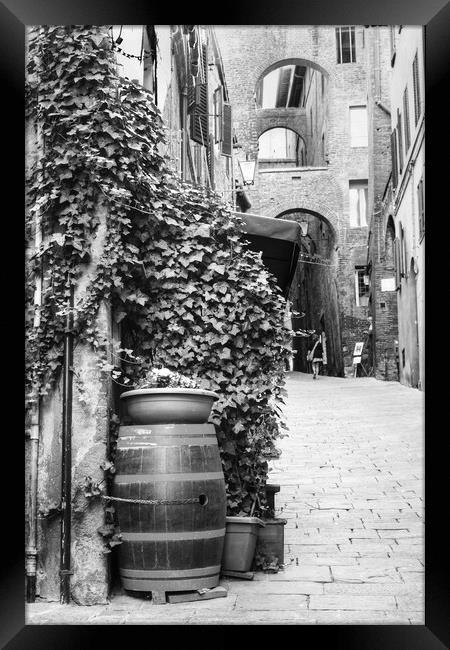 Siena Street Italy  Black and White Framed Print by Diana Mower