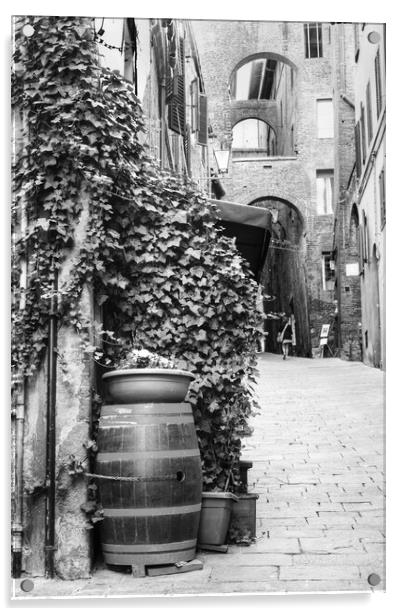 Siena Street Italy  Black and White Acrylic by Diana Mower