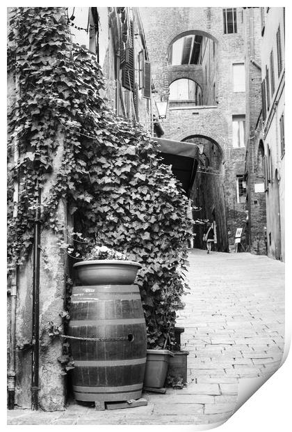 Siena Street Italy  Black and White Print by Diana Mower