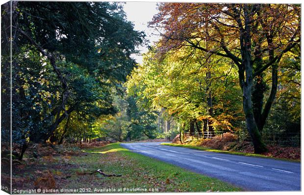 Autumn in the New Forest Canvas Print by Gordon Dimmer